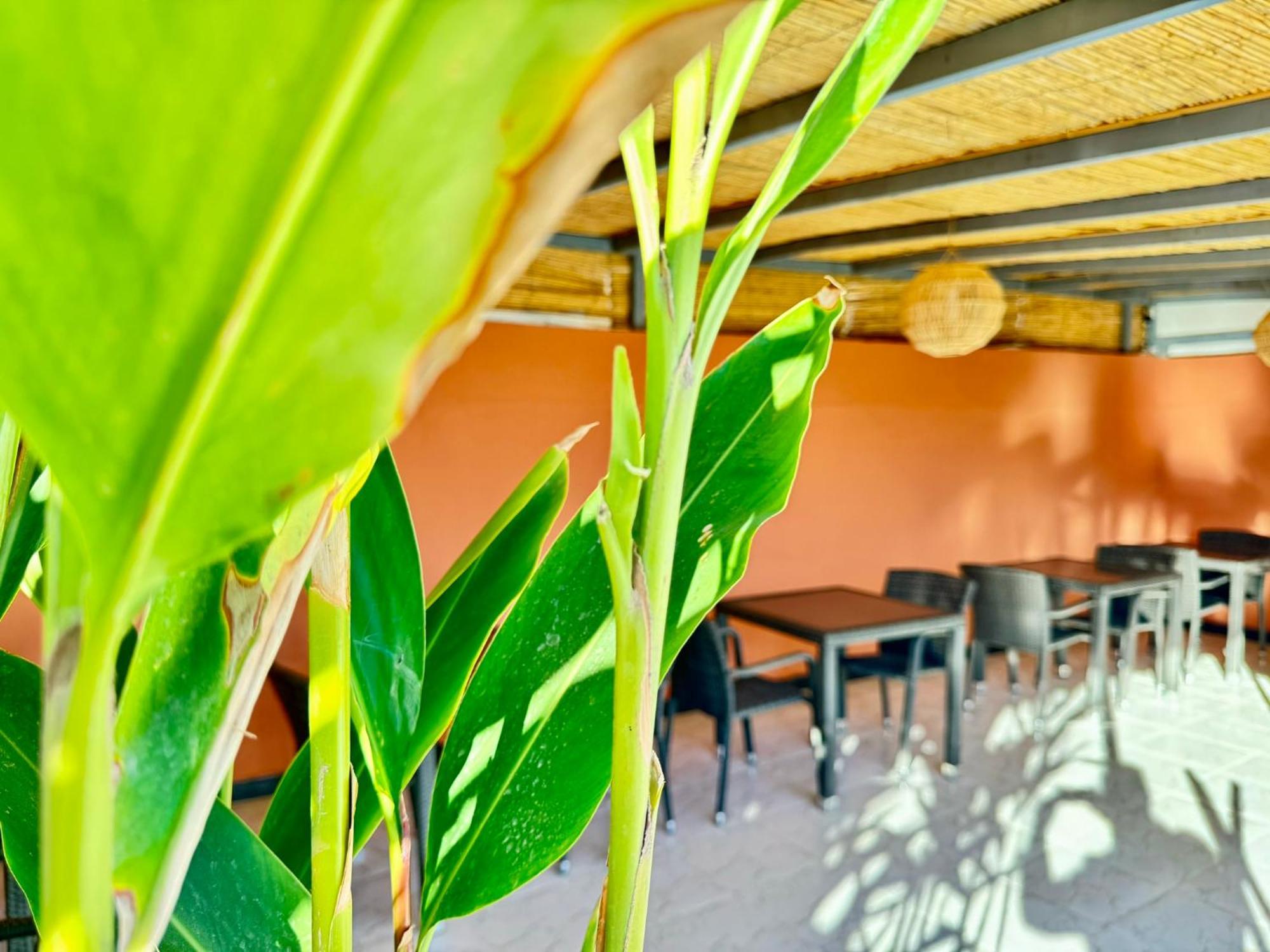 Riad Arrahma Marrakesh Exteriör bild
